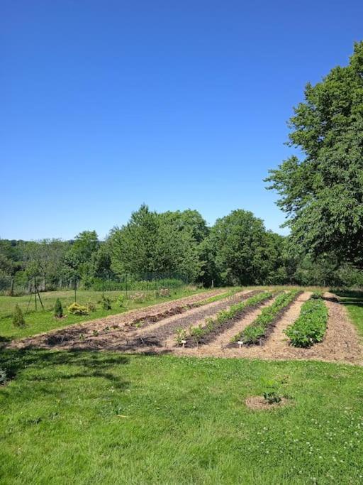 Les Jardins Des 3 Provinces- Gite Montcharvot المظهر الخارجي الصورة