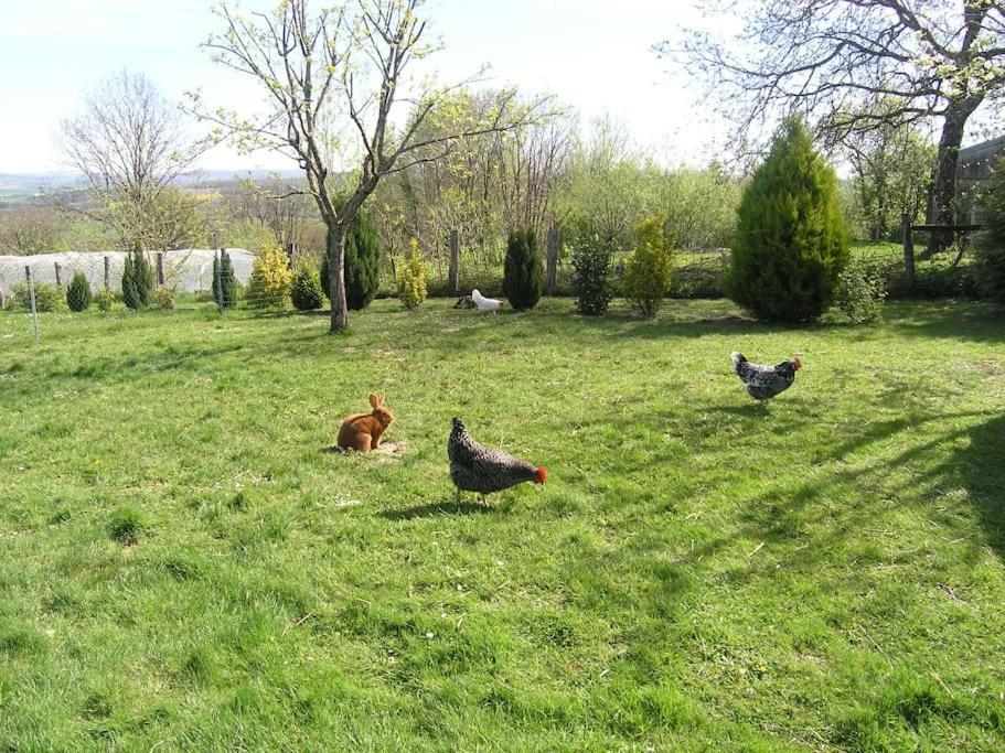 Les Jardins Des 3 Provinces- Gite Montcharvot المظهر الخارجي الصورة