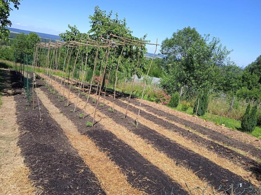 Les Jardins Des 3 Provinces- Gite Montcharvot المظهر الخارجي الصورة