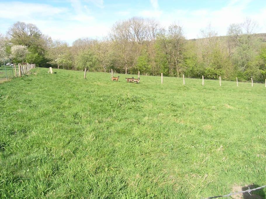 Les Jardins Des 3 Provinces- Gite Montcharvot المظهر الخارجي الصورة