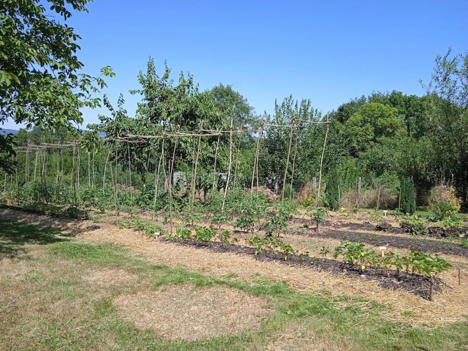 Les Jardins Des 3 Provinces- Gite Montcharvot المظهر الخارجي الصورة