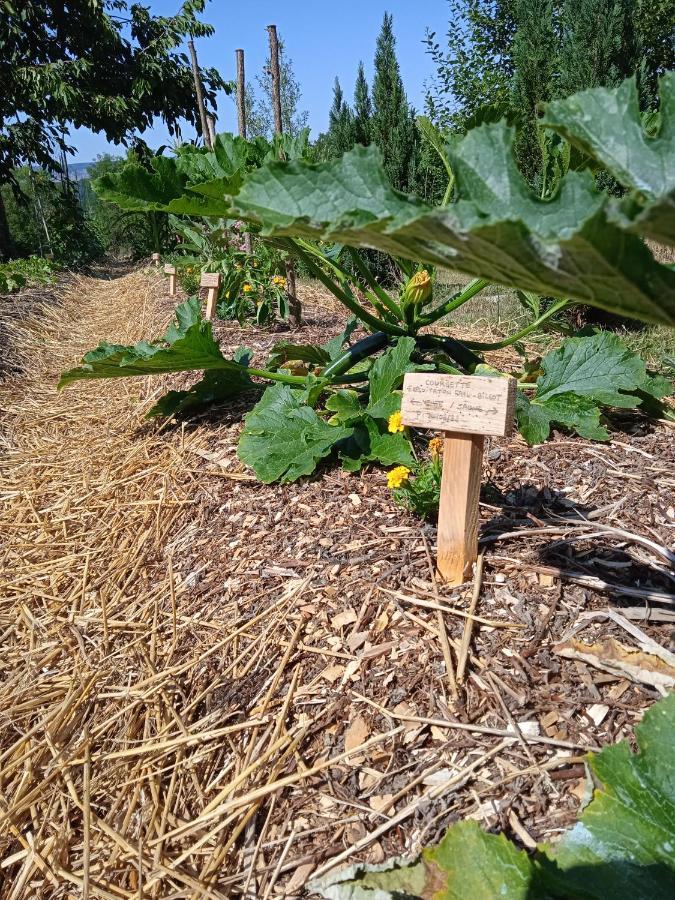 Les Jardins Des 3 Provinces- Gite Montcharvot المظهر الخارجي الصورة