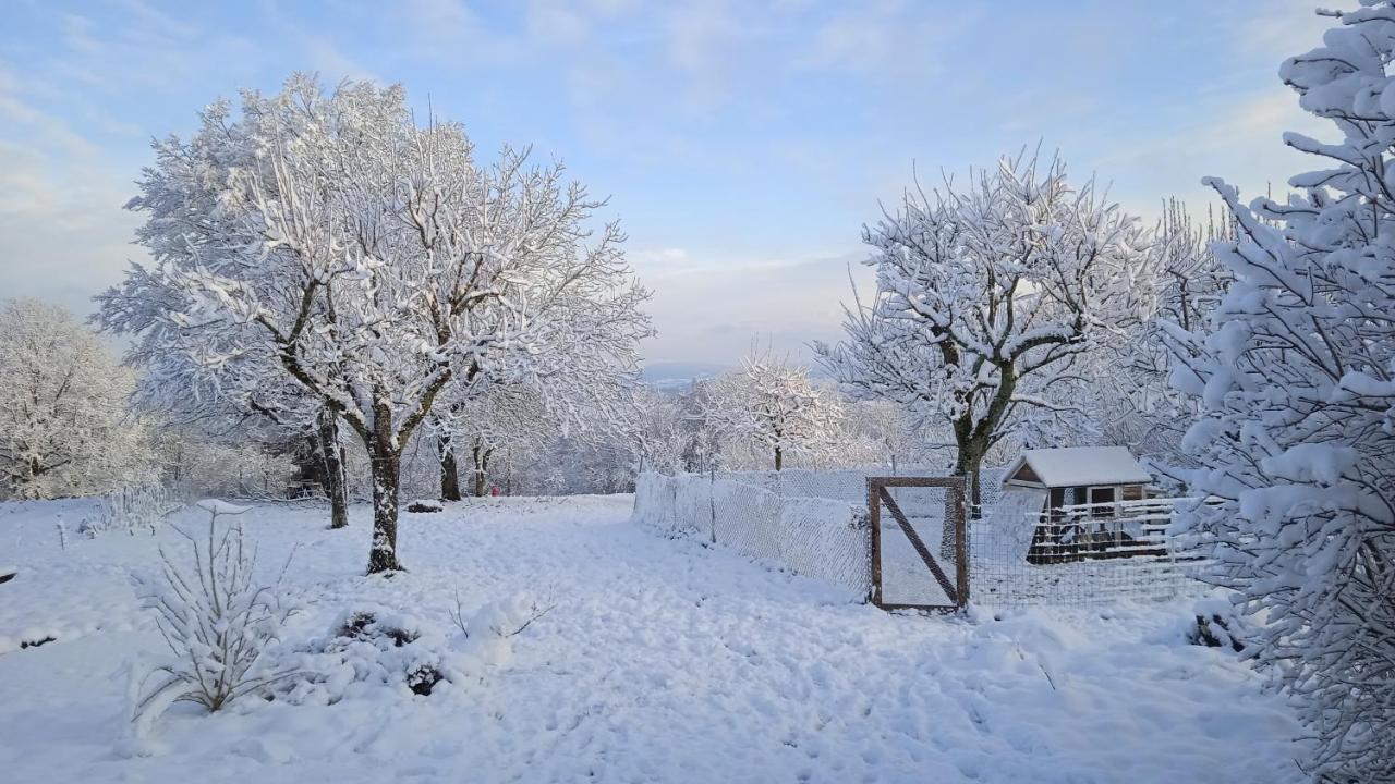 Les Jardins Des 3 Provinces- Gite Montcharvot المظهر الخارجي الصورة